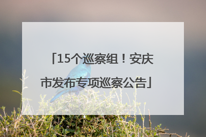 15个巡察组！安庆市发布专项巡察公告
