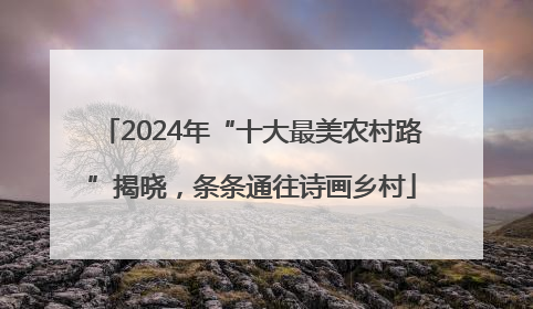2024年“十大最美农村路”揭晓，条条通往诗画乡村