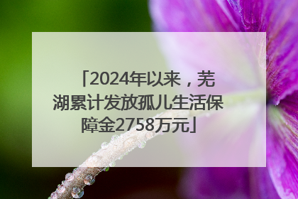 2024年以来，芜湖累计发放孤儿生活保障金2758万元