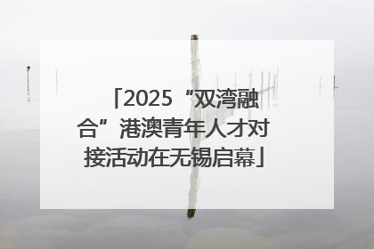 2025“双湾融合”港澳青年人才对接活动在无锡启幕