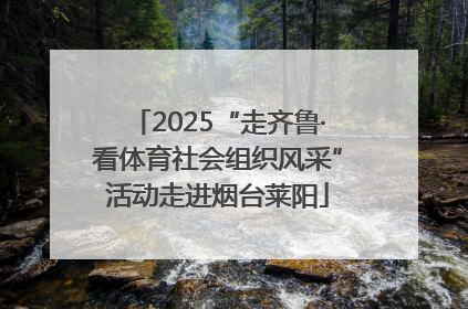 2025“走齐鲁·看体育社会组织风采”活动走进烟台莱阳