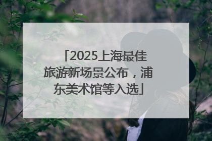 2025上海最佳旅游新场景公布，浦东美术馆等入选