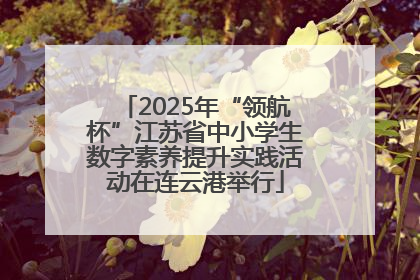 2025年“领航杯”江苏省中小学生数字素养提升实践活动在连云港举行