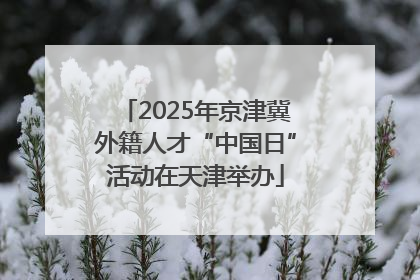 2025年京津冀外籍人才“中国日”活动在天津举办