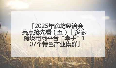 2025年廊坊经洽会亮点抢先看（五）丨多家跨境电商平台“牵手”107个特色产业集群