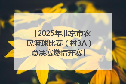 2025年北京市农民篮球比赛（村BA）总决赛燃情开赛