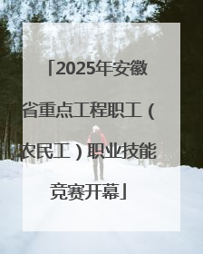 2025年安徽省重点工程职工（农民工）职业技能竞赛开幕
