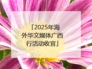 2025年海外华文媒体广西行活动收官