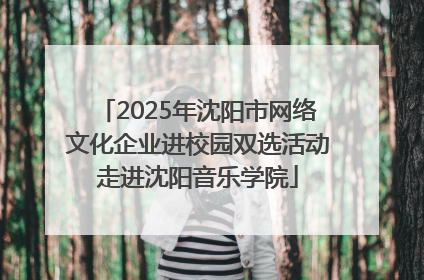 2025年沈阳市网络文化企业进校园双选活动走进沈阳音乐学院