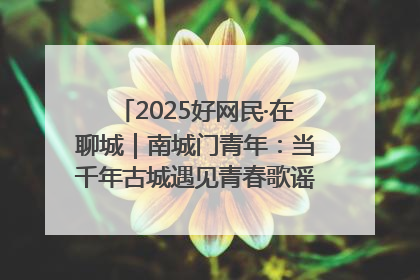 2025好网民·在聊城｜南城门青年：当千年古城遇见青春歌谣 一湖碧水见证的“聊城式浪漫”
