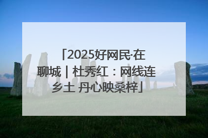 2025好网民·在聊城｜杜秀红：网线连乡土 丹心映桑梓