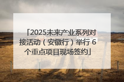 2025未来产业系列对接活动（安徽行）举行 6个重点项目现场签约