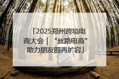 2025郑州跨境电商大会｜“丝路电商”助力朋友圈再扩容