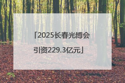 2025长春光博会引资229.3亿元