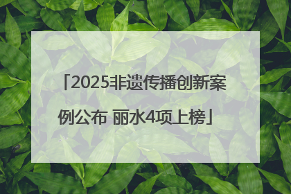 2025非遗传播创新案例公布 丽水4项上榜