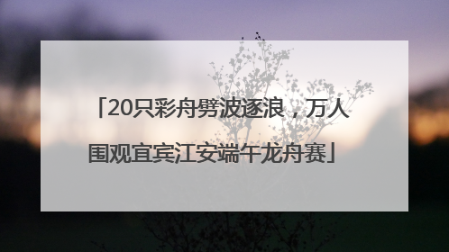 20只彩舟劈波逐浪，万人围观宜宾江安端午龙舟赛