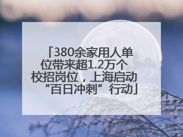 380余家用人单位带来超1.2万个校招岗位，上海启动“百日冲刺”行动