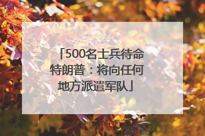 500名士兵待命 特朗普：将向任何地方派遣军队