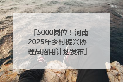 5000岗位！河南2025年乡村振兴协理员招用计划发布