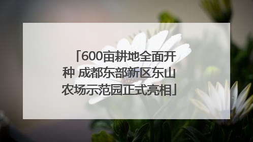 600亩耕地全面开种 成都东部新区东山农场示范园正式亮相