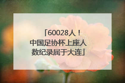 60028人！中国足协杯上座人数纪录属于大连