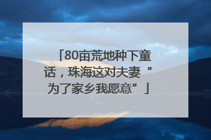 80亩荒地种下童话，珠海这对夫妻“为了家乡我愿意”