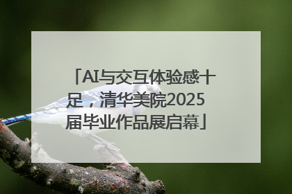 AI与交互体验感十足，清华美院2025届毕业作品展启幕