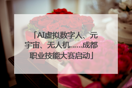 AI虚拟数字人、元宇宙、无人机……成都职业技能大赛启动