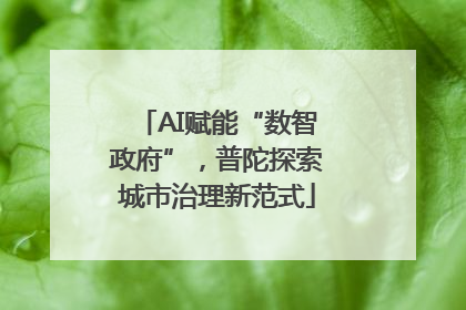 AI赋能“数智政府”，普陀探索城市治理新范式