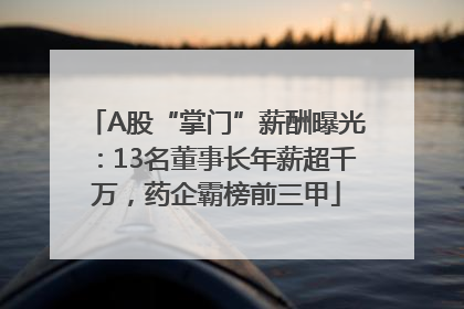 A股“掌门”薪酬曝光：13名董事长年薪超千万，药企霸榜前三甲