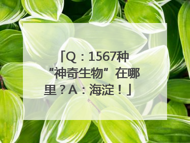 Q：1567种“神奇生物”在哪里？A：海淀！