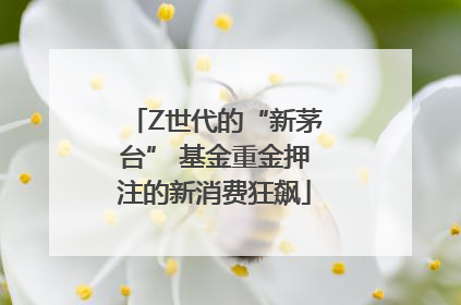 Z世代的“新茅台” 基金重金押注的新消费狂飙